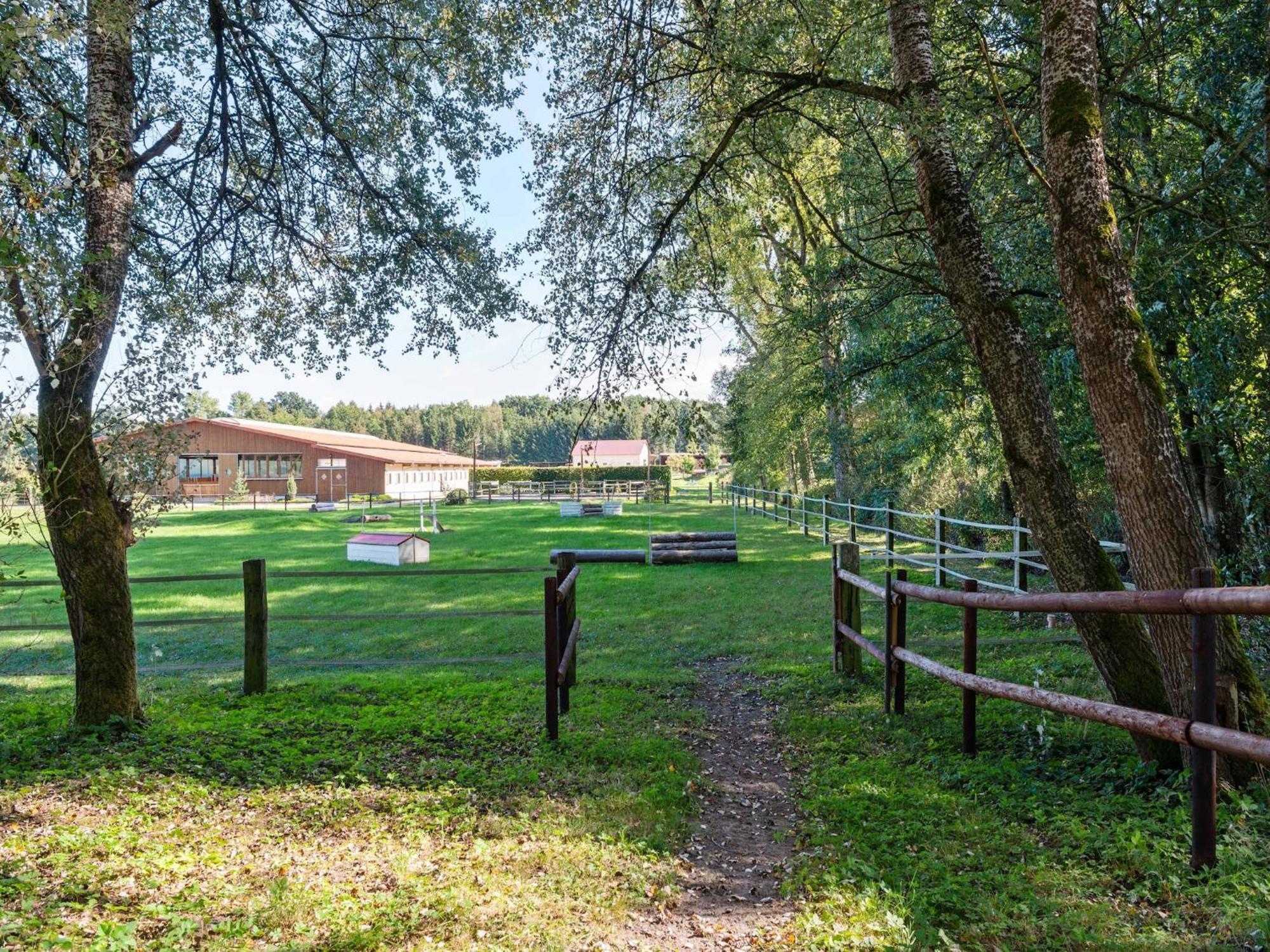 Holiday Home On A Horse Farm In The L Neburg Heath Eschede Eksteriør billede