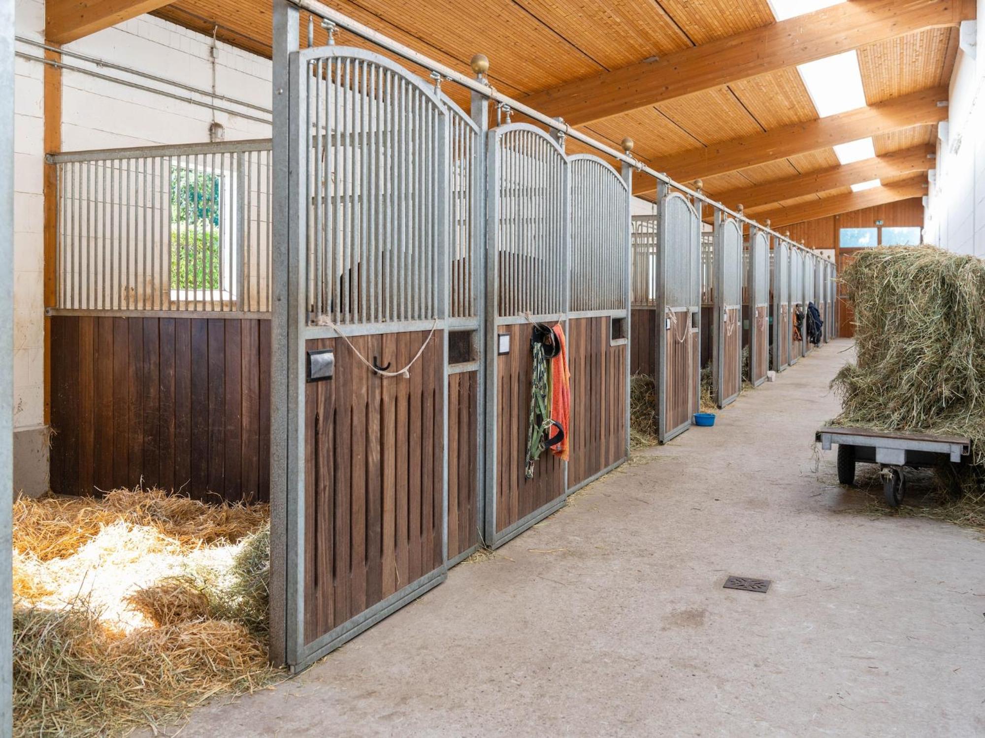 Holiday Home On A Horse Farm In The L Neburg Heath Eschede Eksteriør billede