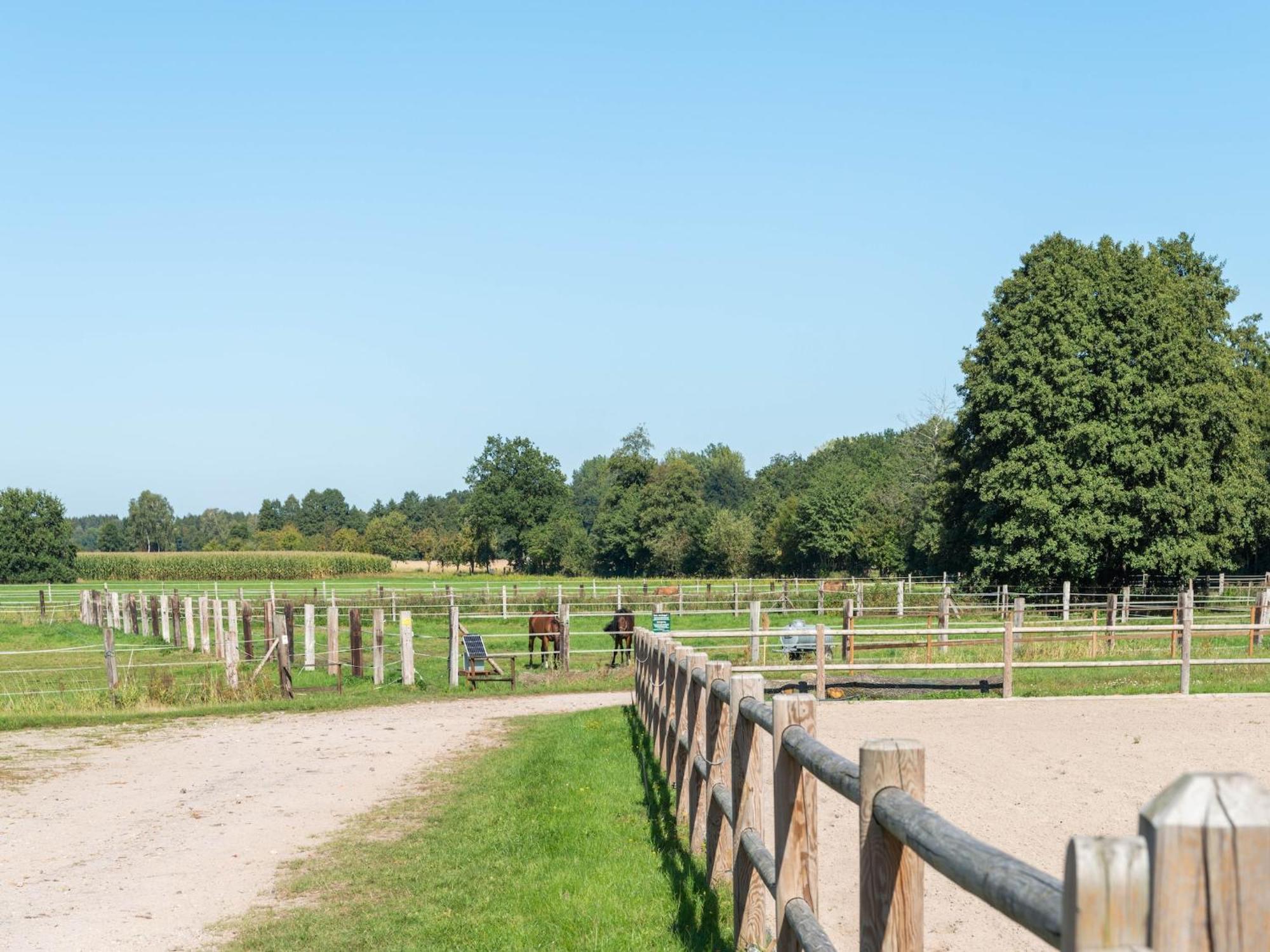 Holiday Home On A Horse Farm In The L Neburg Heath Eschede Eksteriør billede