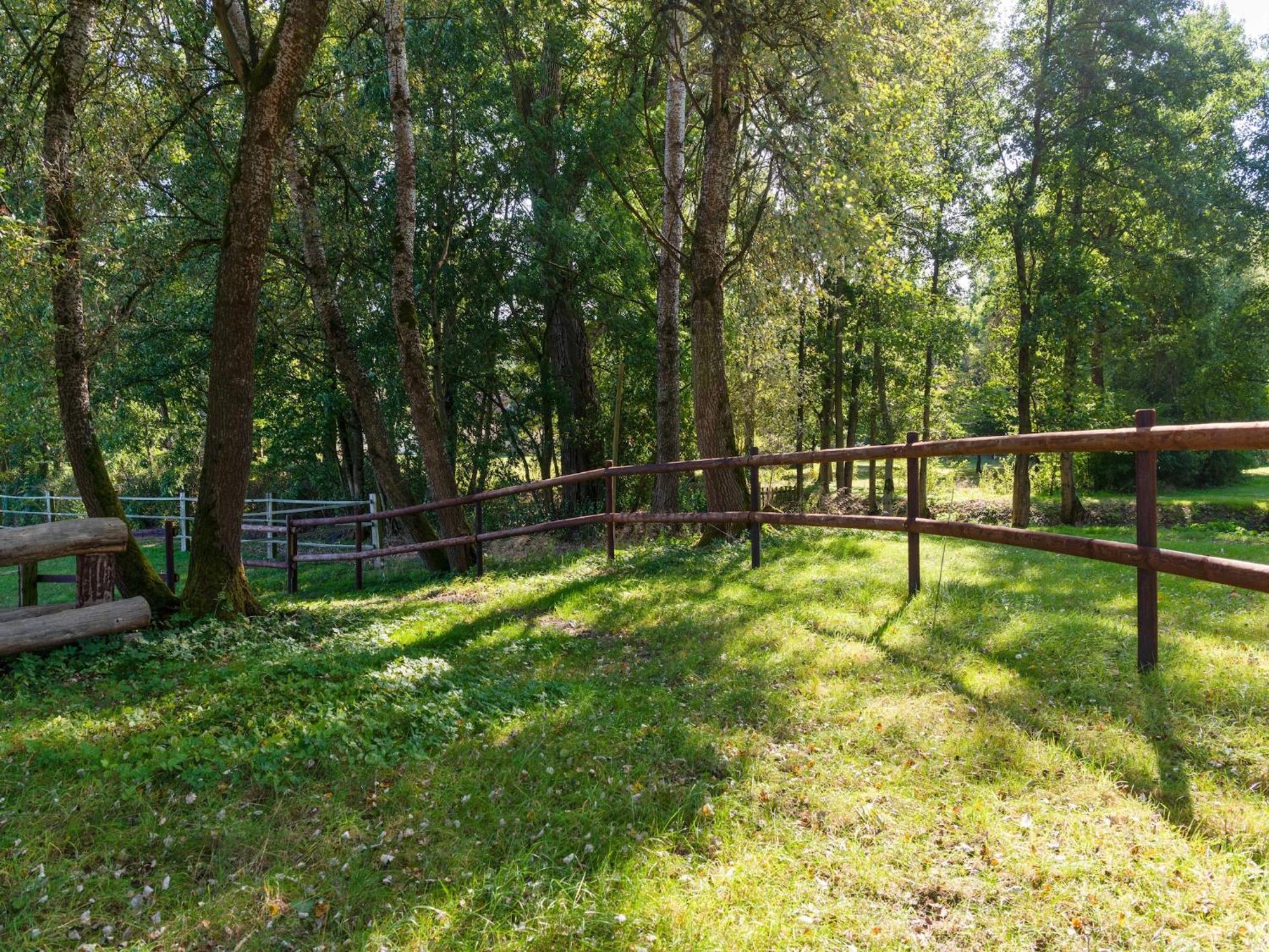 Holiday Home On A Horse Farm In The L Neburg Heath Eschede Eksteriør billede